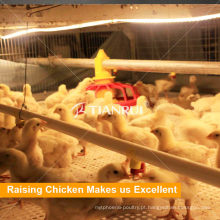 Gaiola de frango automática de alta qualidade para o crescimento de frangos de corte